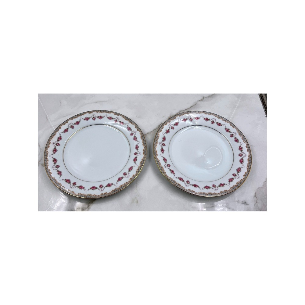Noritake Dinner Plates Ridgewood 5201  Set of 2 Pink Rose Gold Trim Japan 10.5"